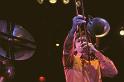 Evry Daily Photo - Les Friches Musicales - Ceux qui  marchent debout 183